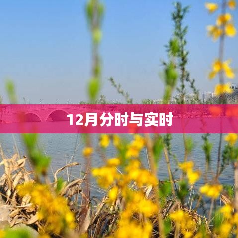 12月分时与实时，时间管理的关键