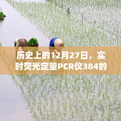 实时荧光定量PCR仪384发展史，揭秘历史里程碑