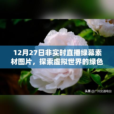 探索虚拟世界舞台，绿幕素材图片直播