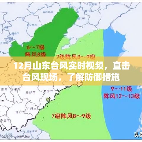 山东台风最新实时视频，直击现场，防御措施全解析