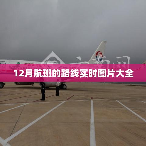 第816页