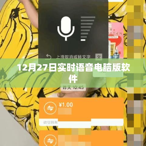 实时语音电脑版软件，最新动态与功能解析