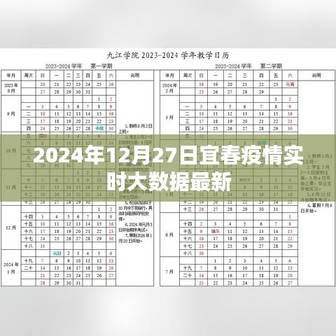 宜春疫情实时大数据更新（最新报告时间，2024年12月）
