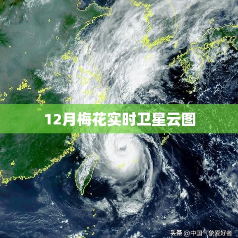 12月梅花盛开实时卫星云图动态展示