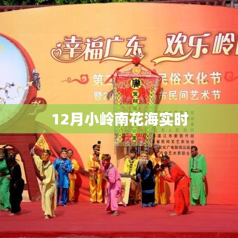 12月小岭南花海绚烂盛开