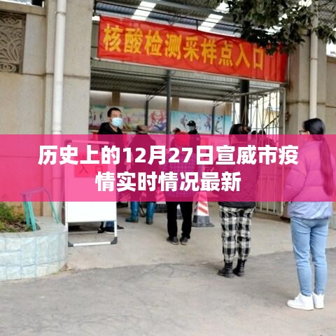 宣威市疫情实时情况更新，历史日期下的数据解读