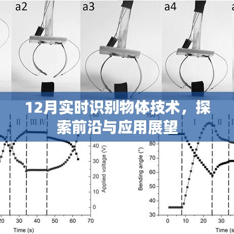 实时物体识别技术，前沿探索与应用展望