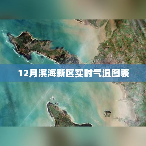 张弛不定 第2页