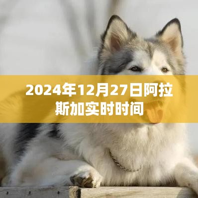 阿拉斯加时间实时查询，2024年12月27日