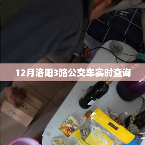 洛阳3路公交车实时查询（12月版）