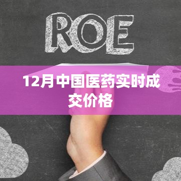最新医药市场实时动态，12月成交价格概览