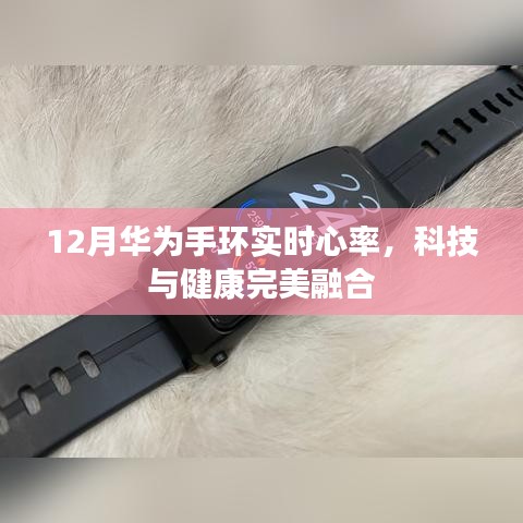 华为手环实时心率监测，科技与健康融合新体验
