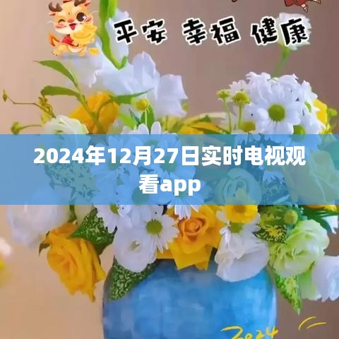 2024年热门电视观看app实时体验