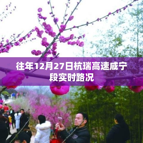 杭瑞高速咸宁段往年12月27日实时路况播报