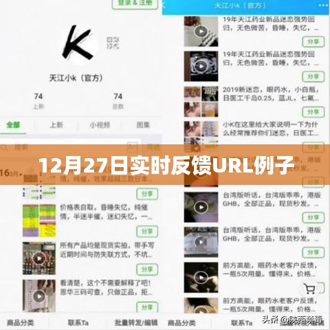 12月27日实时反馈URL最新动态，简洁明了，能够清晰地表达文章的主题。