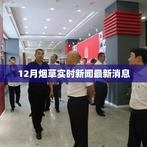 烟草行业最新动态报道，十二月最新消息速递