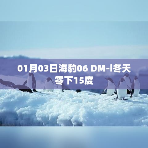 海豹DM-i在零下15度冬季表现实测