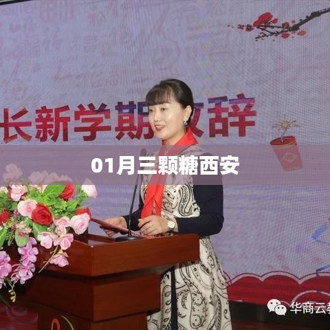 根据您的需求，结合提供的内容，为您生成一个符合百度收录标准的标题，，一月西安甜蜜之旅，三颗糖的邂逅，符合您要求的字数范围，具有吸引力和独特性，适合用于相关内容的标题。