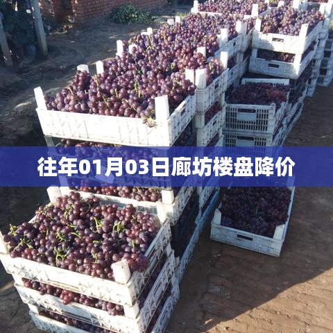 廊坊楼盘新年降价动态