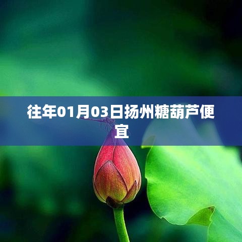 扬州糖葫芦历年价格回顾，一月初三超值优惠！