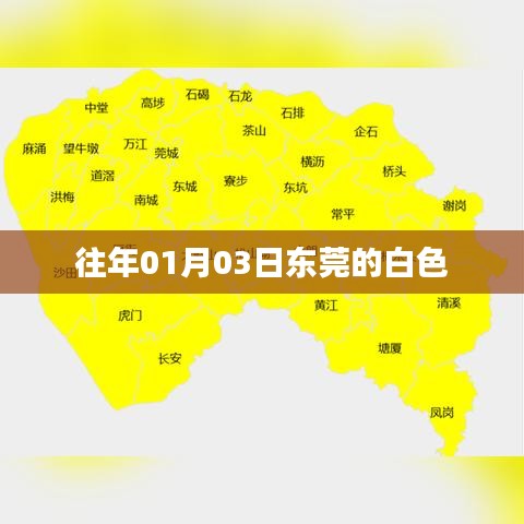 东莞白色风情，历年一月初的独特魅力