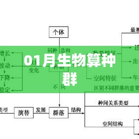 01月生物种群解析