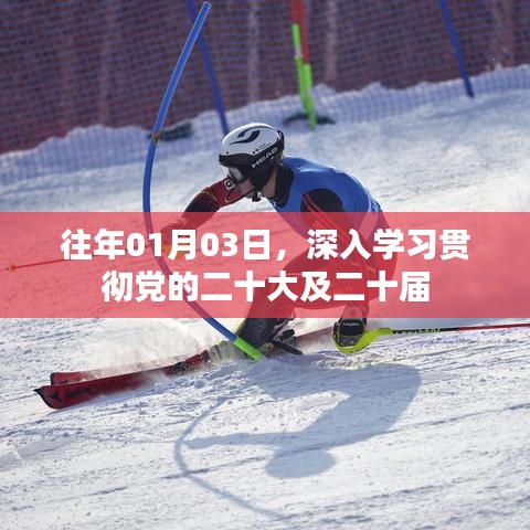 深入学习贯彻党的二十大及二十届精神