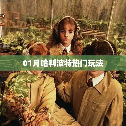 哈利波特一月热门玩法揭秘