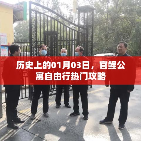 官鲤公寓自由行攻略，一月三日的历史与热门玩法