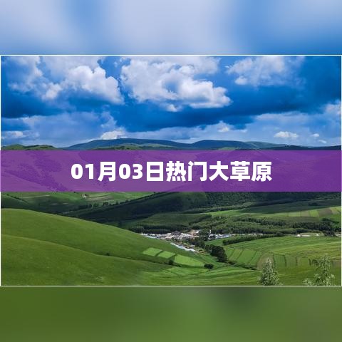 热门大草原，一月份最新盛况