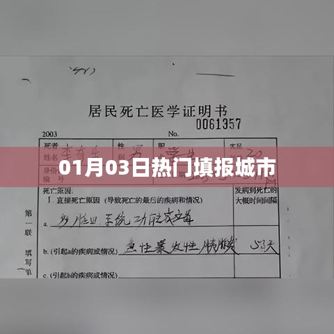 热门填报城市动态速递