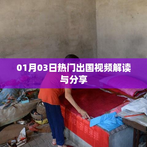 热门出国视频解读分享，最新动态与体验