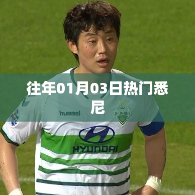 悉尼历年一月初热门事件盘点