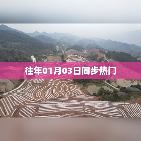 往年1月3日同步热门事件回顾