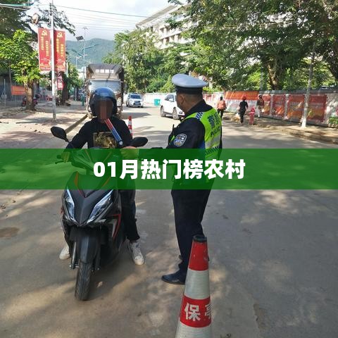 农村热点一月榜