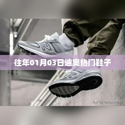 迪奥历年元旦热门鞋款回顾