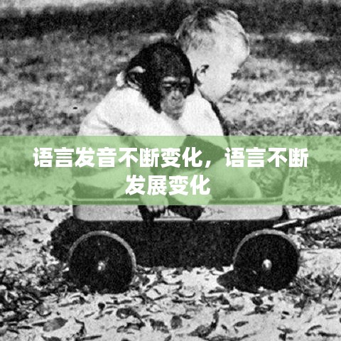 语言发音不断变化，语言不断发展变化 