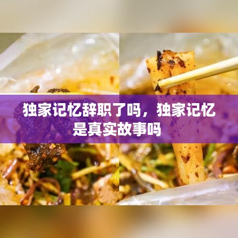 独家记忆辞职了吗，独家记忆是真实故事吗 