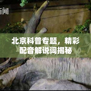 北京科普专题，精彩配音解说词揭秘
