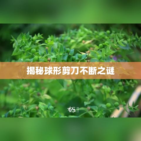 揭秘球形剪刀不断之谜