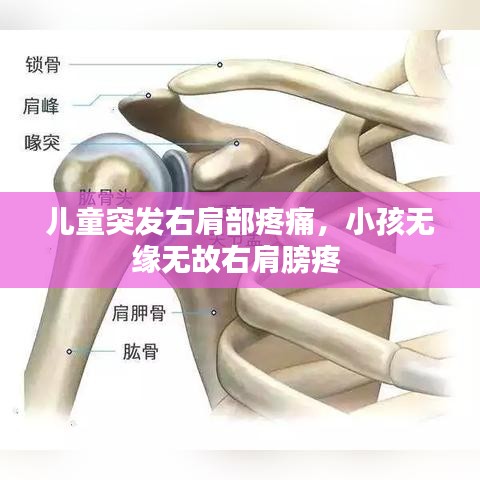 儿童突发右肩部疼痛，小孩无缘无故右肩膀疼 
