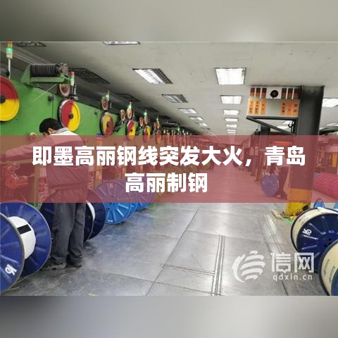 即墨高丽钢线突发大火，青岛高丽制钢 
