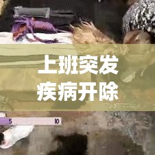 上班突发疾病开除事件，法律边界与人道关怀的深思