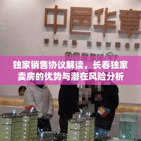 独家销售协议解读，长春独家卖房的优势与潜在风险分析