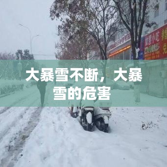 大暴雪不断，大暴雪的危害 