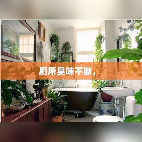 厕所臭味不断， 