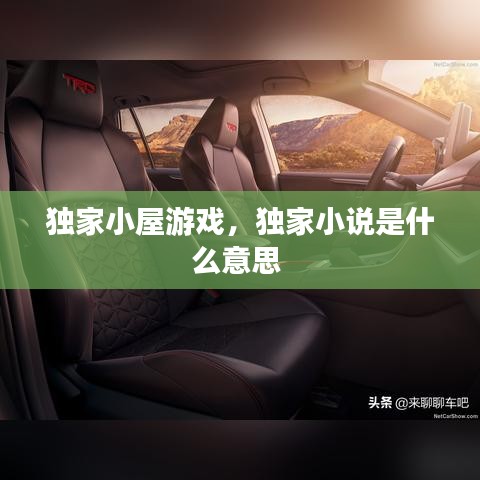 独家小屋游戏，独家小说是什么意思 