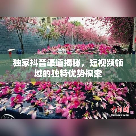 独家抖音渠道揭秘，短视频领域的独特优势探索