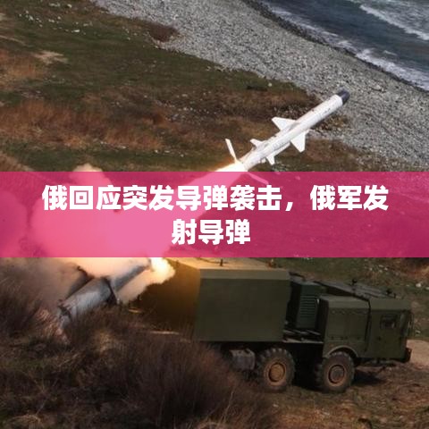 出就外傅 第2页