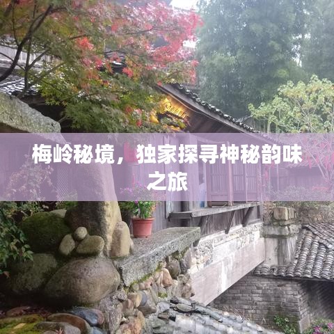 梅岭秘境，独家探寻神秘韵味之旅